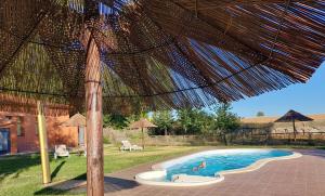 an outdoor swimming pool with a large straw umbrella at Casa Atenea in Zamora