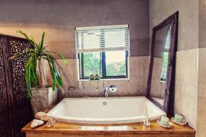 a bathroom with a tub and a plant and a window at The Beach House by African Watersports in Umkomaas