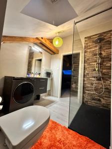 a bathroom with a toilet and a glass shower at loft 100m2 confort+. Chez Cédric et Jeza in Le Thillot