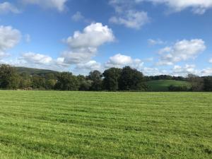 um grande campo de relva verde com árvores ao fundo em Romantic Rural Break In Countryside Castle Grounds Private Retreat Wizards Rest em Bishops Tawton