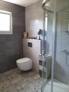 uma casa de banho com um WC e uma cabina de duche em vidro. em Le Cœur de la petite Cisse em Monteaux