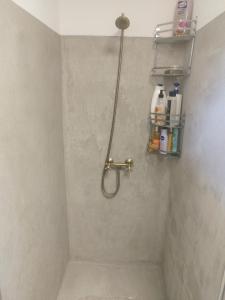 a shower in a bathroom with a shower head at Rooftop View in Predeluţ +16 photos
