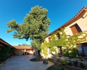 a tree in the courtyard of a house at Casa Atenea in Zamora