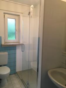 a bathroom with a shower and a toilet and a sink at Ferienwohnung Graupner in Schwarzenberg