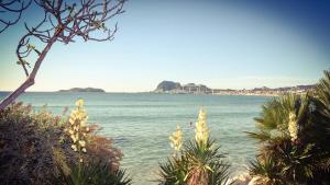a view of a body of water with flowers at BALI in La Ciotat