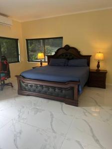 a bedroom with a bed with blue sheets and two lamps at Luxury Comfy Penthouse Red hills in Kingston