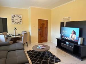 a living room with a couch and a flat screen tv at Luxury Comfy Penthouse Red hills in Kingston