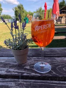 a wine glass sitting on a wooden table with a potted plant at Kemp Josef Dubňany in Dubňany