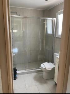 a bathroom with a shower and a toilet at Ammos Suites in Platy