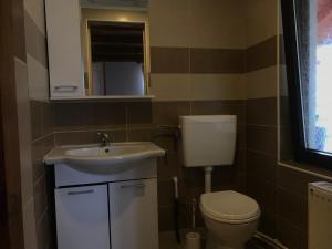 a small bathroom with a toilet and a sink at Căsuța din munți in Sadova