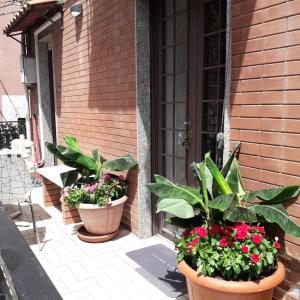 two pots of flowers on the side of a house at Le Case del Cortile in Catania