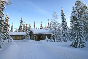 una cabina in una foresta innevata con alberi innevati di Holiday Home Aurora Cabin a Luosto