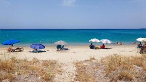 Pantai di atau dekat dengan apartmen