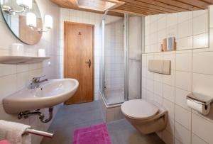 a bathroom with a sink and a toilet and a mirror at Landhaus Braun in Mittenwald +38 photos
