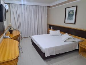 a bedroom with a bed and a desk and a television at Hotel Michelangelo in Sao Jose do Rio Preto