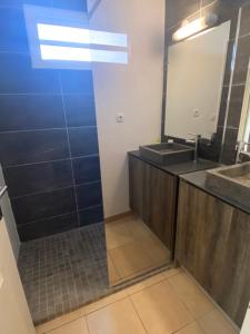 Koupelna v ubytování Appartement F2 avec piscine