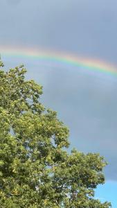 a rainbow in the sky behind two trees at Le Domaine in La Chapelle-de-Guinchay