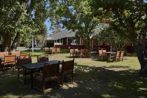 Hostal de Los Andes في Rodeo de la Cruz: مجموعة طاولات وكراسي تحت بعض الاشجار