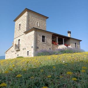 um edifício no topo de uma colina com um campo de flores em Agriturismo Torre Gialluise em Gesualdo