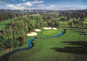 una vista sul soffitto di un campo da golf con un gruppo di palline da golf di Private Home in Ocala with Fenced Yard, Piano, Central Location, Pets Welcome a Ocala