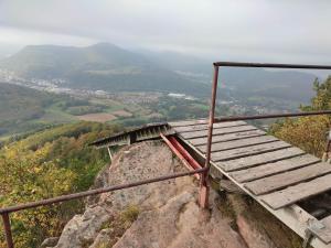 Природа в окрестностях апартаментов/квартиры