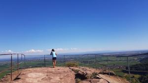 Природа в окрестностях апартаментов/квартиры