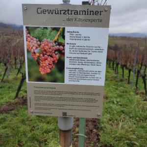 Фотография из галереи Gästezimmer Waldblick Leinsweiler в городе Лайнсвайлер