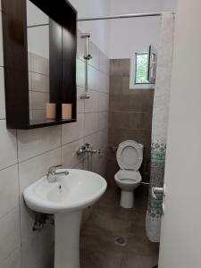 a bathroom with a sink and a toilet and a mirror at Niki Seaside Apartments in Platamonas