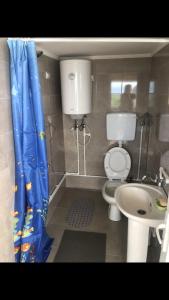 a small bathroom with a toilet and a sink at Seosko domacinstvo Becirovic - Kukulik lodgings in Bijelo Polje