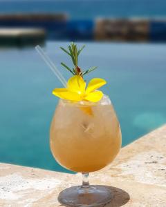 a drink with a yellow flower in a glass at Tritón Hotel Boutique & Restaurant in Guayacanes