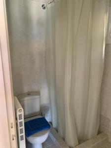 a bathroom with a toilet with a shower curtain at Ageranos seaview house in Kamáres
