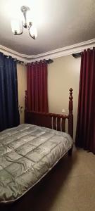 1 dormitorio con 1 cama con cortinas rojas y azules en Cosy Living en Gulu