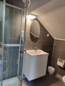 a bathroom with a shower and a sink and a mirror at Halland Camping in Berkåk