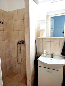bagno con doccia e lavandino di DunapArt Apartment a Vác
