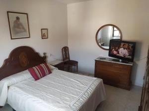 a bedroom with a bed and a tv on a dresser at Room in Chalet - Private Double Room Toledo in Toledo