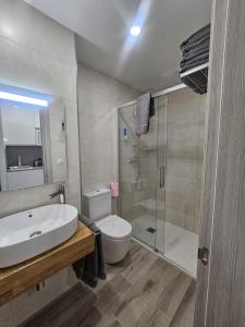 ein Bad mit einem Waschbecken, einem WC und einer Dusche in der Unterkunft Apartamentos Antequera in Antequera