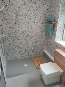 a bathroom with a white toilet and a shower at Stunning Views Peaceful Split Level Bungalow in Sutton in Ashfield