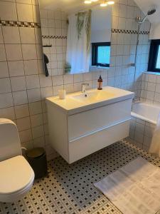 a bathroom with a sink and a toilet and a mirror at Cheerful 3-bedroom Home, Close To Lakes in Farum