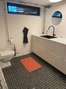a bathroom with a sink and a toilet at Cheerful 3-bedroom Home, Close To Lakes in Farum