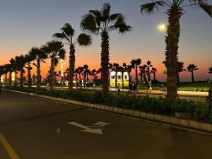 eine Straße mit Palmen und einem gelben Van in der Unterkunft Porto Said Tourist Resort in Port Said