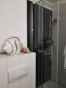 ein Bad mit einer Dusche und einer Glastür in der Unterkunft Blinkfüer am Kap Arkona in Putgarten