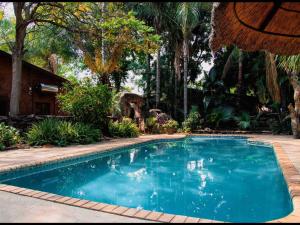 Eco Lodge في Lephalale: مسبح في ساحه فيها اشجار
