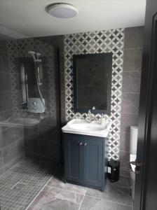 y baño con lavabo y ducha. en Fox's Cottage en Millstreet