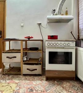 卡贊勒克的住宿－Стаи за гости Алба，厨房配有炉灶和带桌子的台面