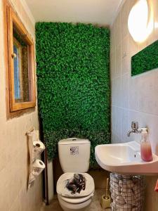 a green wall in a bathroom with a toilet and a sink at Стаи за гости Алба in Kazanlŭk