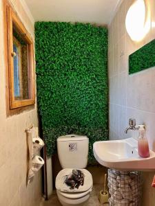 uma parede verde numa casa de banho com um WC e um lavatório em Стаи за гости Алба em Kazanluk