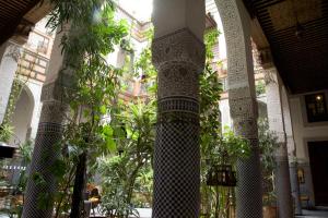 a group of columns in a building with plants at Riad Al Bartal in Fez
