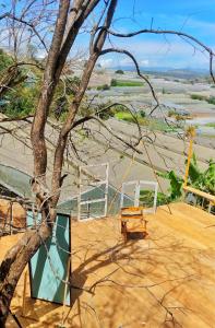 un árbol sentado en la parte superior de un edificio con un banco en Dốc Nhà Tây en Dalat