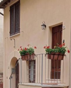 Deux pots de fleurs sur le balcon d'un bâtiment dans l'établissement Appartamento centro storico La Pulcianella, à Montepulciano