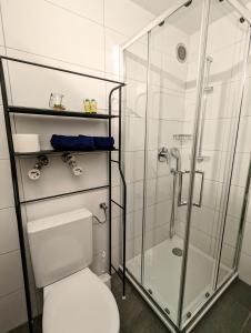 a bathroom with a toilet and a glass shower at Schmuckstück im Allgäu in Scheidegg +19 photos